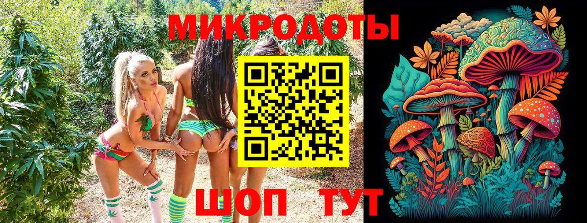 Клинцы  Псилоцибиновые грибы Psilocybine cubensis  Вход с VPN 
